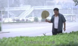 冬暖花会开全集在线观看,全集在线观看，温暖情感之旅